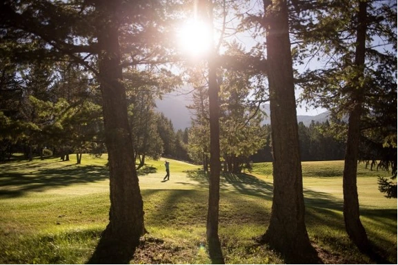 %ED%8E%98%EC%96%B4%EB%AA%AC%ED%8A%B8_%ED%95%AB_%EC%8A%A4%ED%94%84%EB%A7%81_%EB%A6%AC%EC%A1%B0%ED%8A%B8.png?type=w1200