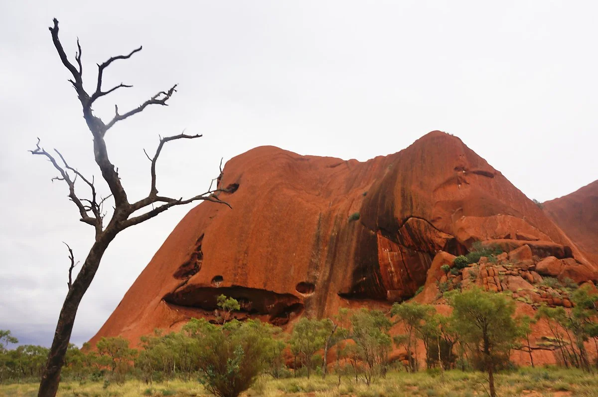 %EC%9A%B8%EB%A3%A8%EB%A3%A88.jpg?type=w1200