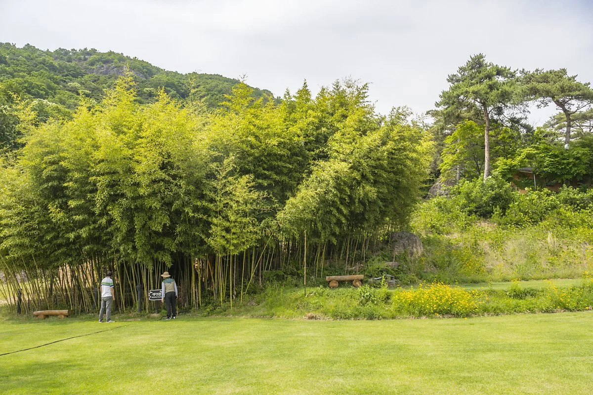 %ED%98%B8%EC%95%94%EB%A7%88%EC%9D%84_%283%29.jpg?type=w1200