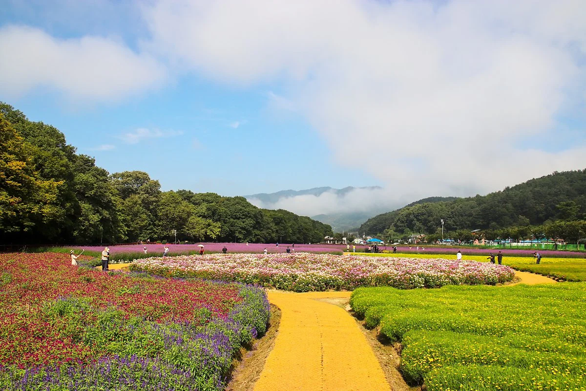 %EC%83%81%EB%A6%BC%EA%BD%83%EB%B0%AD%EB%8B%A8%EC%A7%803.jpg?type=w1200