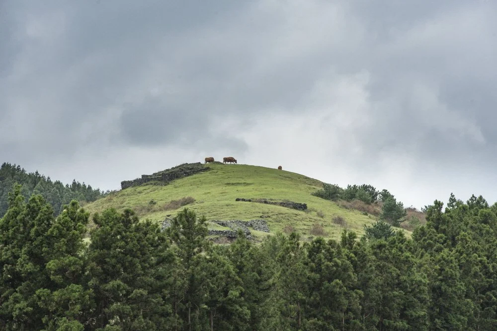 %ED%81%AC%EA%B8%B0%EB%B3%80%ED%99%98%EC%86%90%EC%A7%80%EC%98%A4%EB%A6%84_%282%29.jpg?type=w1200