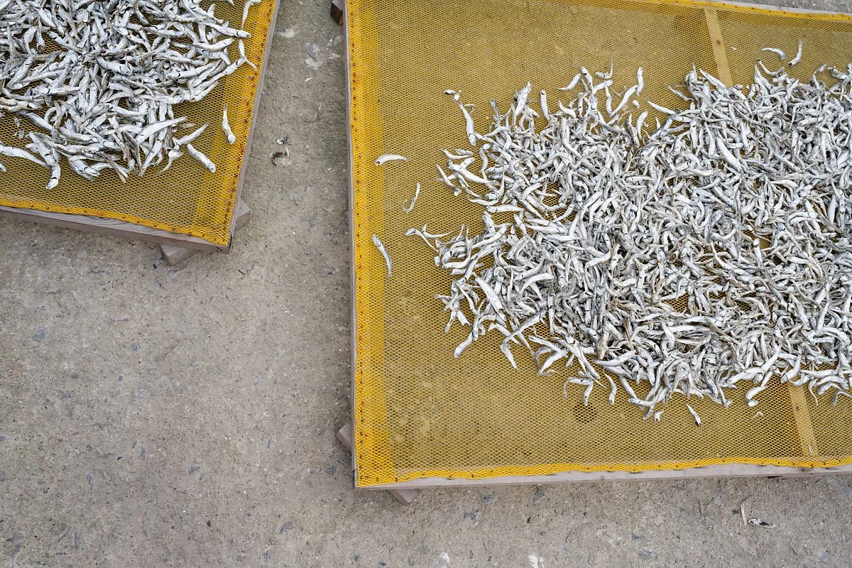 %ED%8A%B9%EC%82%B0%EB%AC%BC_%EB%A9%B8%EC%B9%98.jpg?type=w1200