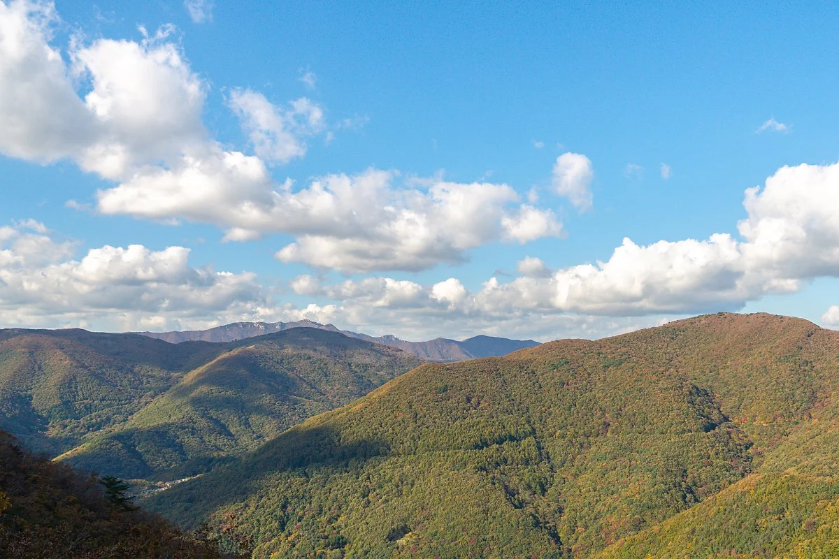 %EA%B0%84%EC%9B%94%EC%9E%AC_001.jpg?type=w1200