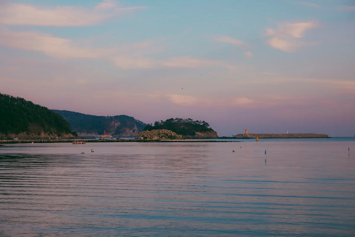 d_%EC%86%94%EC%84%AC.jpg?type=w1200