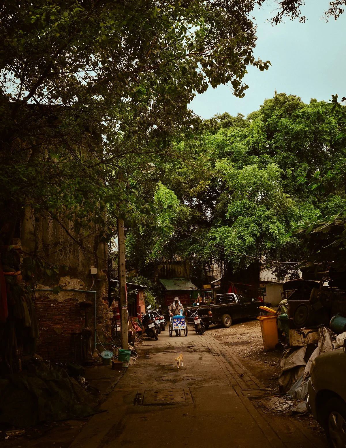 %EC%9D%B4%EA%B1%B0_%EB%91%90%EA%B0%9C_%EB%82%98%EB%9E%80%ED%9E%88_%EC%8D%A8%EC%A3%BC%EC%85%94%EB%8F%84_%EC%A2%8B%EC%9D%84_%EA%B1%B0_%EA%B0%99%EC%95%84%EC%9A%94_%281%29.jpg?type=w1200