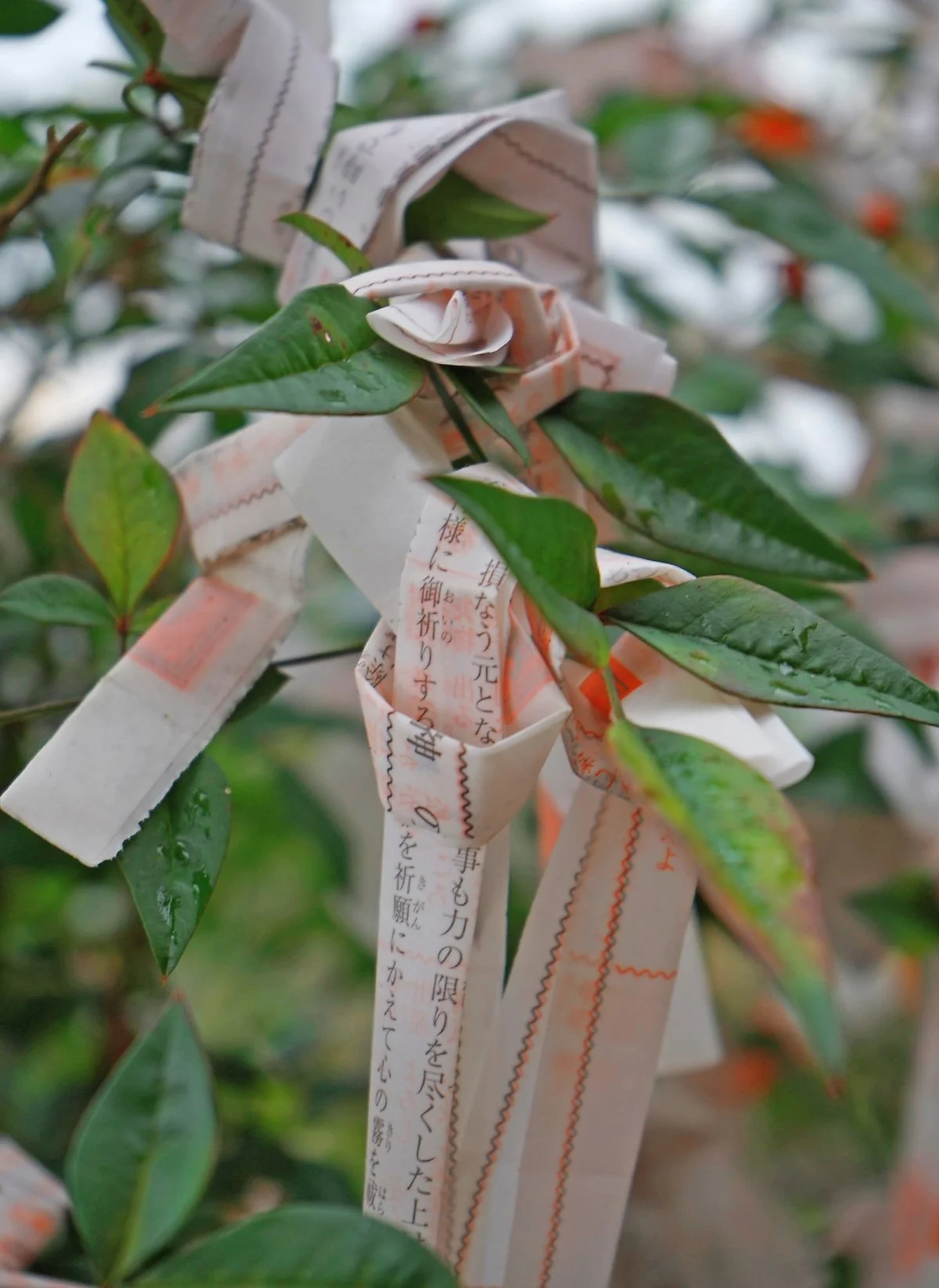 DSC04220-1.jpg?type=w1200