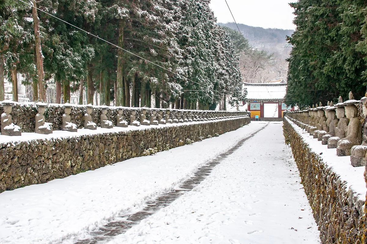 %EA%B4%80%EC%9D%8C%EC%82%AC_001.jpg?type=w1200