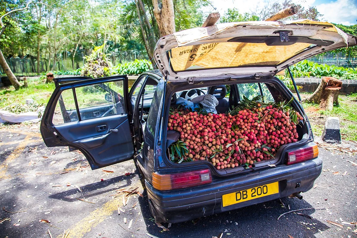 SSR_Botanic_garden_%2811%29.JPG?type=w1200