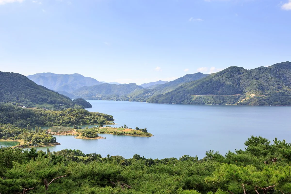 %EC%B2%AD%ED%92%8D%EB%AC%B8%ED%99%94%EC%9E%AC%EB%8B%A8%EC%A7%80_%EA%B9%80%EB%8F%84%ED%98%95%283%29.JPG?type=w1200