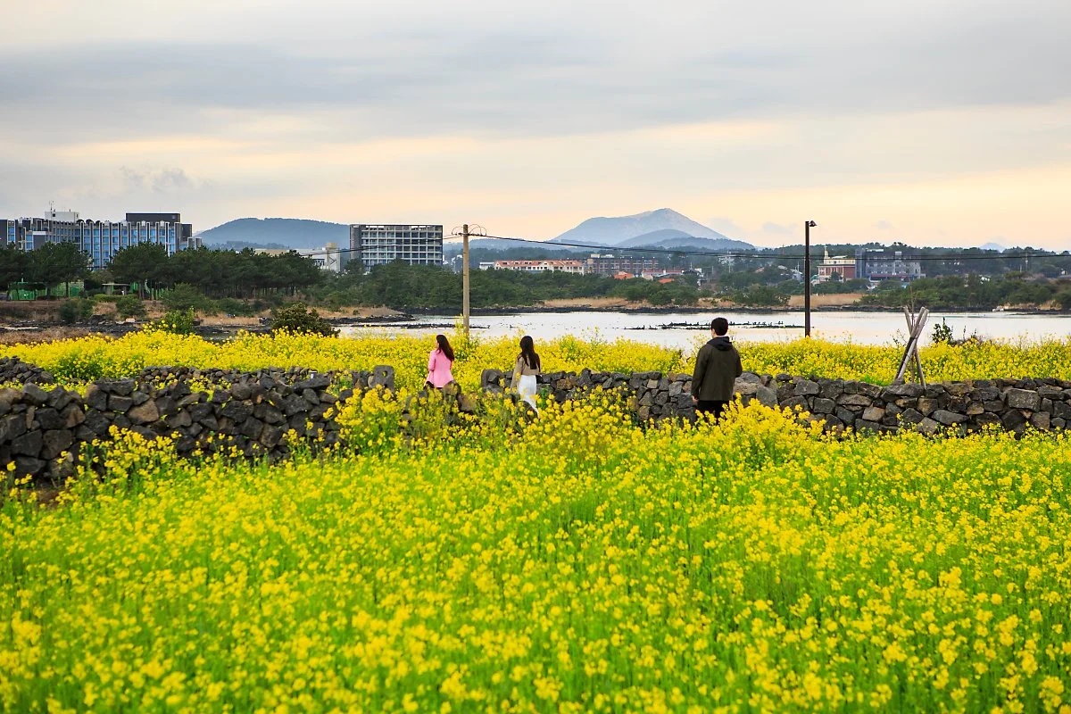 %EC%84%B1%EC%82%B0%EC%9C%A0%EC%B1%84%EA%BD%83%EB%B0%AD_%282%29.jpg?type=w1200