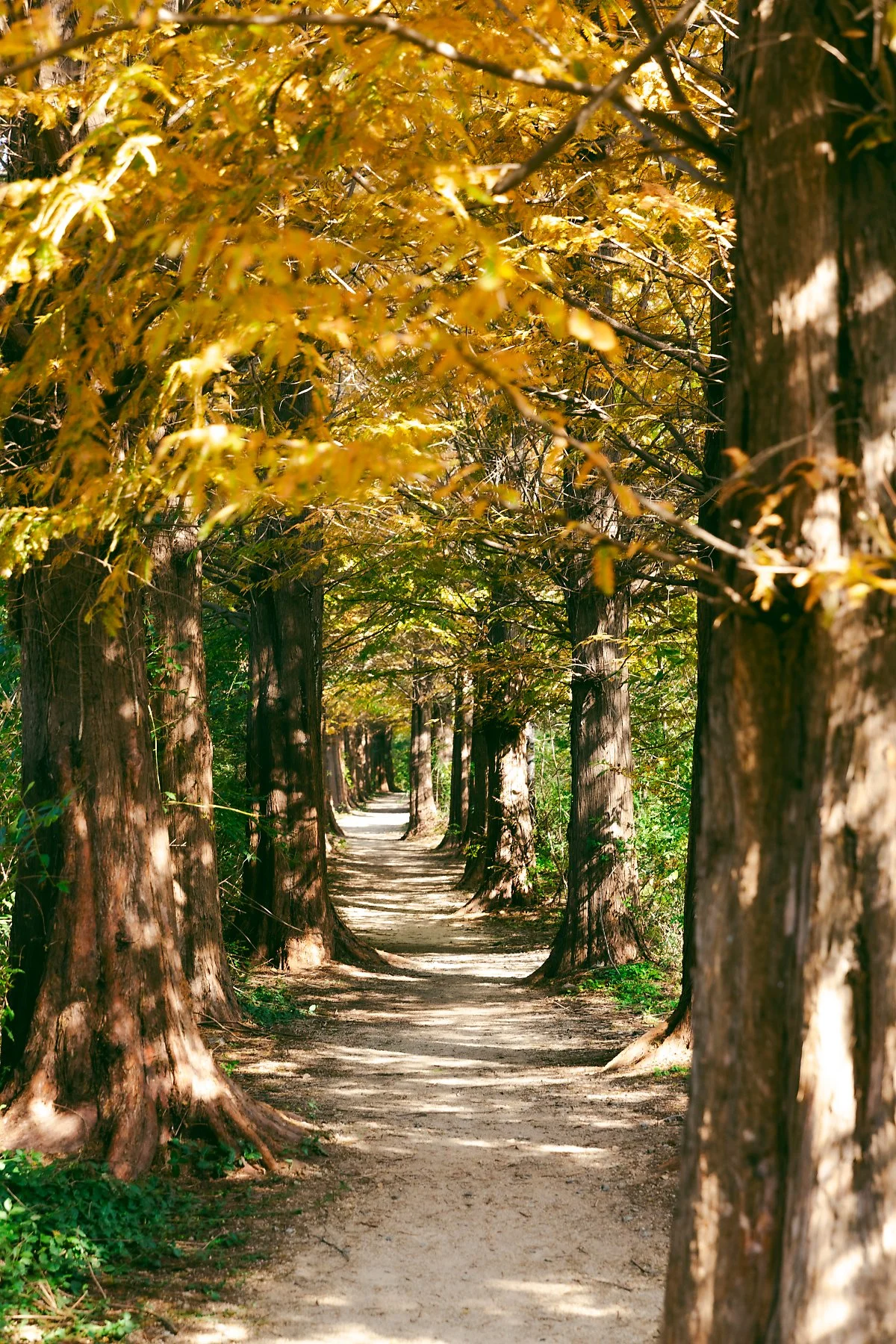 d_%EA%B3%A0%EC%96%91%EC%83%9D%ED%83%9C%EA%B3%B5%EC%9B%90.jpg?type=w1200