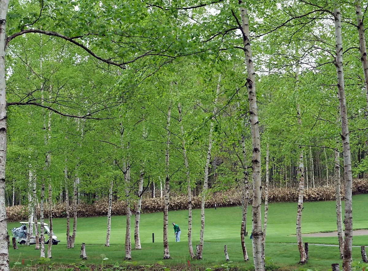 image_8133444331498648547497.jpg?type=w1200