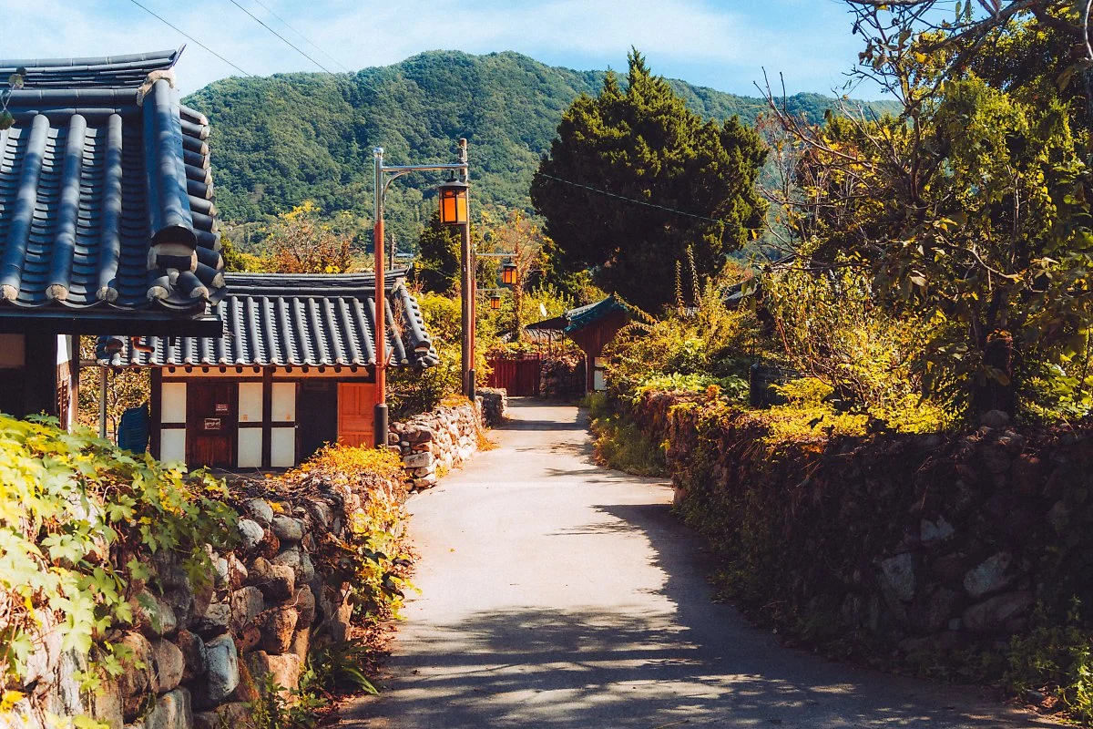 %ED%95%9C%EB%B0%A4%EB%A7%88%EC%9D%84_%EB%8F%8C%EB%8B%B4%EA%B8%B8_%282%29.jpg?type=w1200