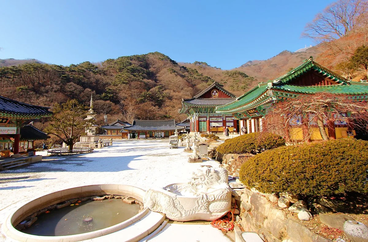 02%EC%9A%A9%EB%AC%B8%EC%82%AC_%286%29.JPG?type=w1200