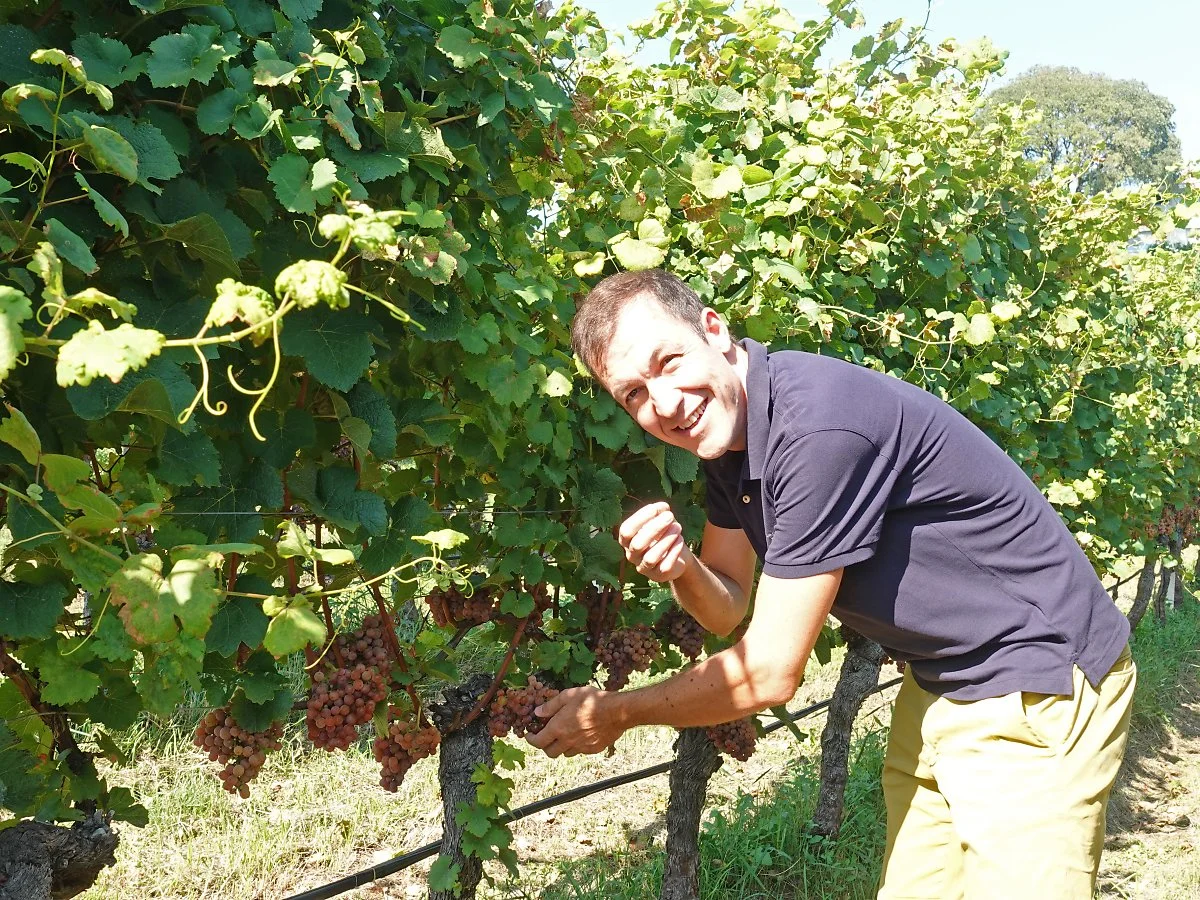 DSC09785-1.jpg?type=w1200