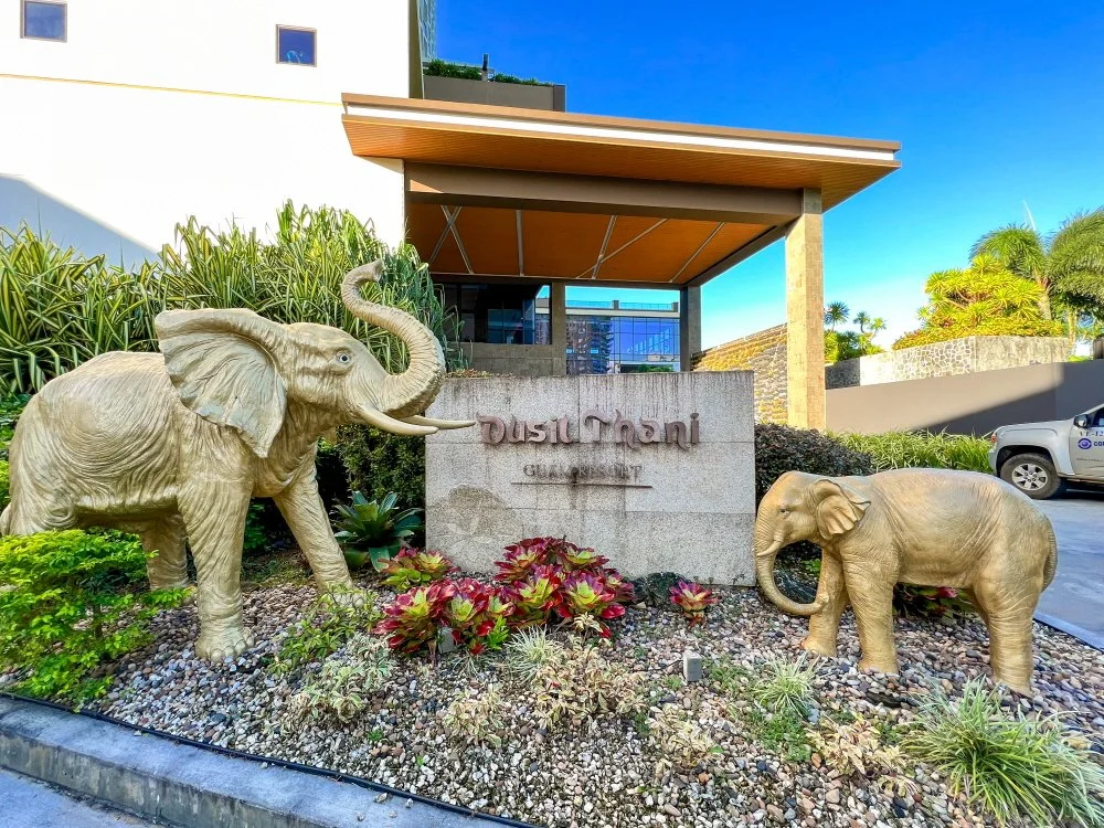 IMG_9391.jpg?type=w1200