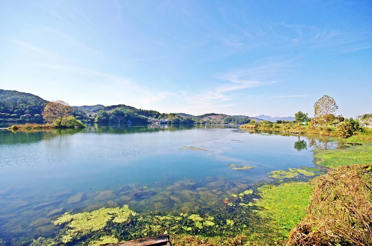 %EC%B0%BD%EB%8F%99%EB%A6%AC_%EA%B1%B4%EB%84%88%ED%8E%B8_%EB%82%A8%ED%95%9C%EA%B0%95_%EA%B0%80%EC%97%90%EC%84%9C_%EB%B3%B8_%EB%82%A8%ED%95%9C%EA%B0%95_%ED%92%8D%EA%B2%BD.JPG?type=w1200