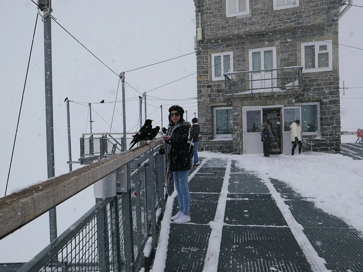 24-1.%EC%9C%B5%ED%94%84%EB%9D%BC%EC%9A%B0%EC%9A%94%ED%9D%90%EC%A0%84%EB%A7%9D%EB%8C%80.JPG?type=w1200