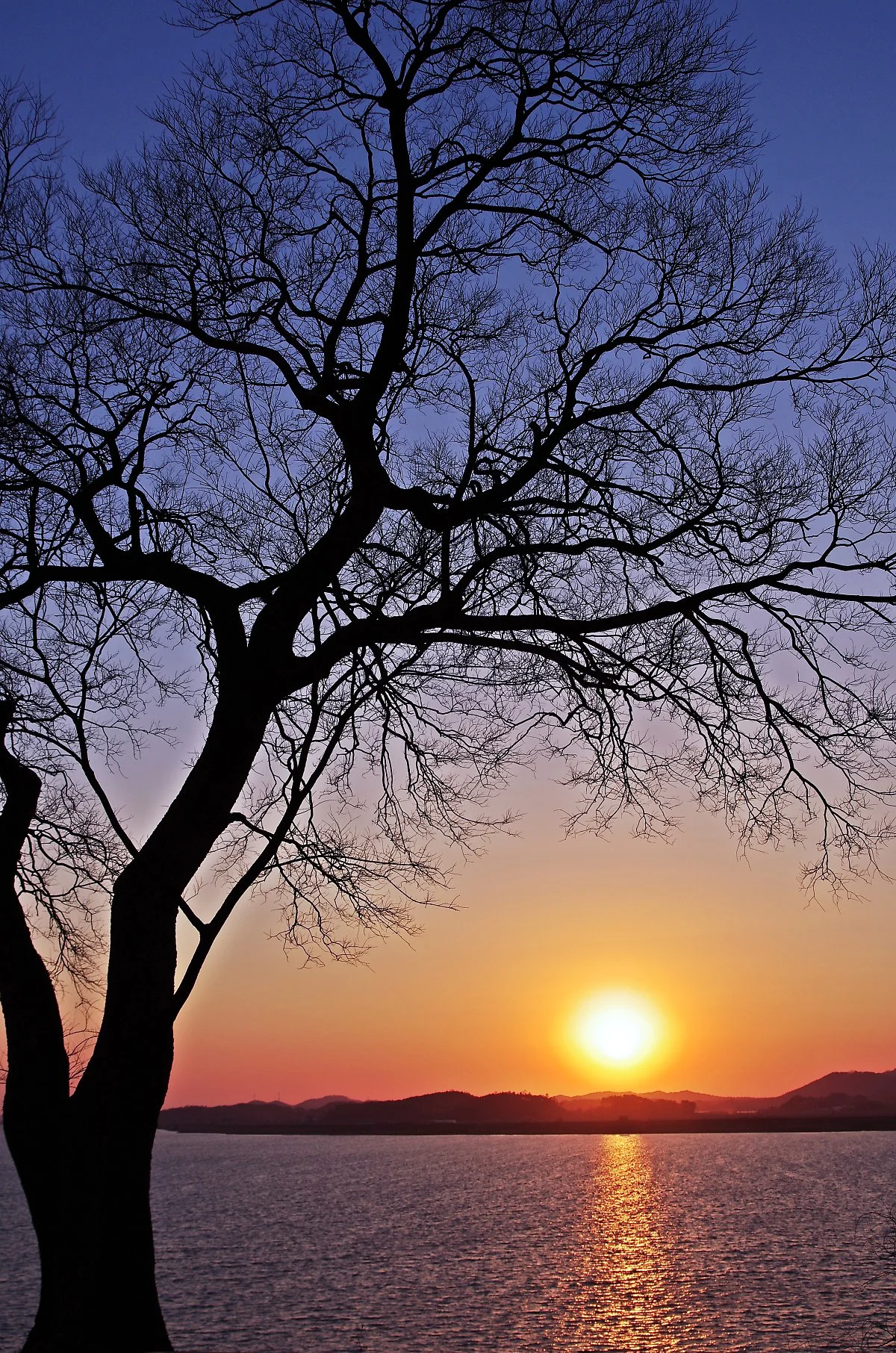 %EA%B3%B0%EA%B0%9C%EB%82%98%EB%A3%A8_%EC%9D%BC%EB%AA%B0.JPG?type=w1200