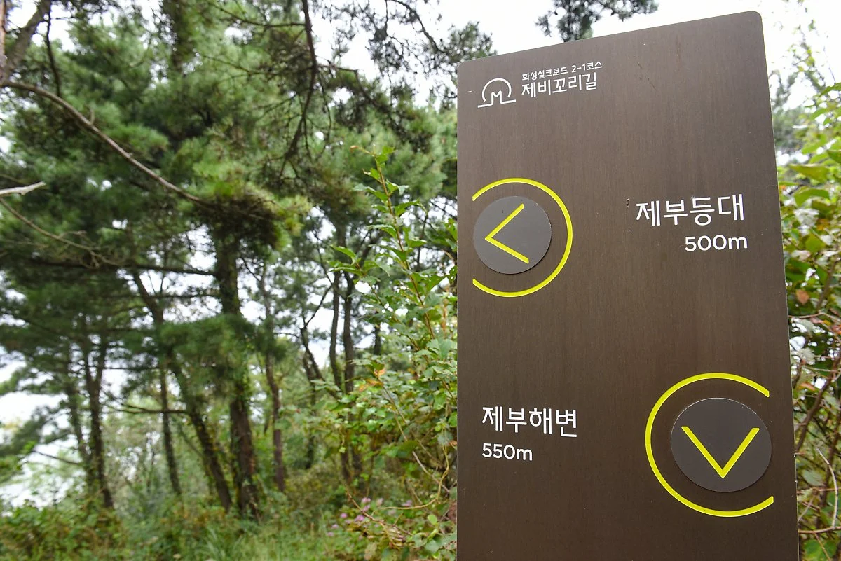 %ED%83%91%EC%A0%9C%EC%82%B0%ED%83%90%EB%B0%A9%EB%A1%9C_%282%29.jpg?type=w1200