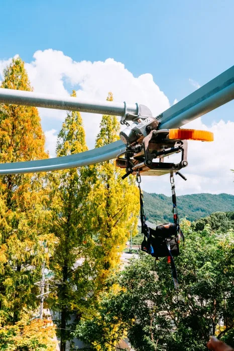 %ED%81%AC%EA%B8%B0%EB%B3%80%ED%99%98%EC%B6%94%ED%92%8D%EB%A0%B9%ED%85%8C%EB%A7%88%ED%8C%8C%ED%81%AC_(10).jpg?type=w466