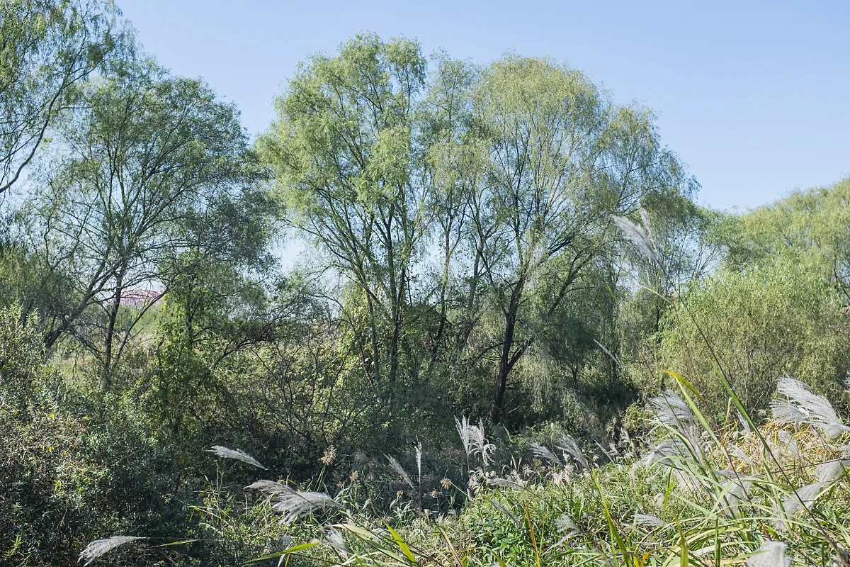 %EC%9E%A5%ED%95%AD%EC%8A%B5%EC%A7%80_%282%29.jpg?type=w1200