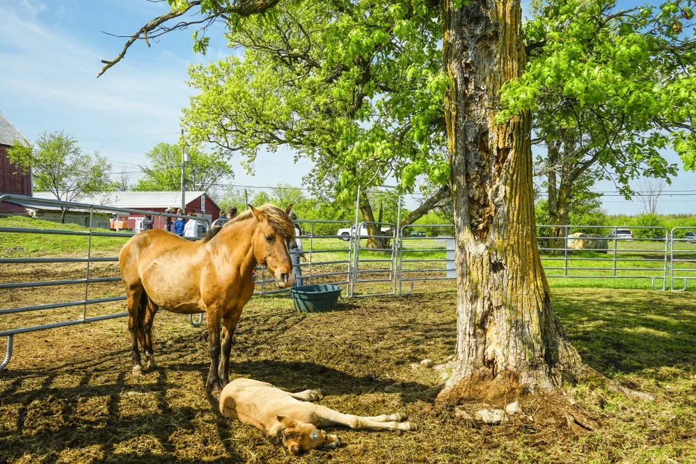 %EB%A7%88%EB%8B%A4%ED%98%B8%ED%82%A4_%EB%86%8D%EC%9E%A5_%284%29.JPG?type=w1200