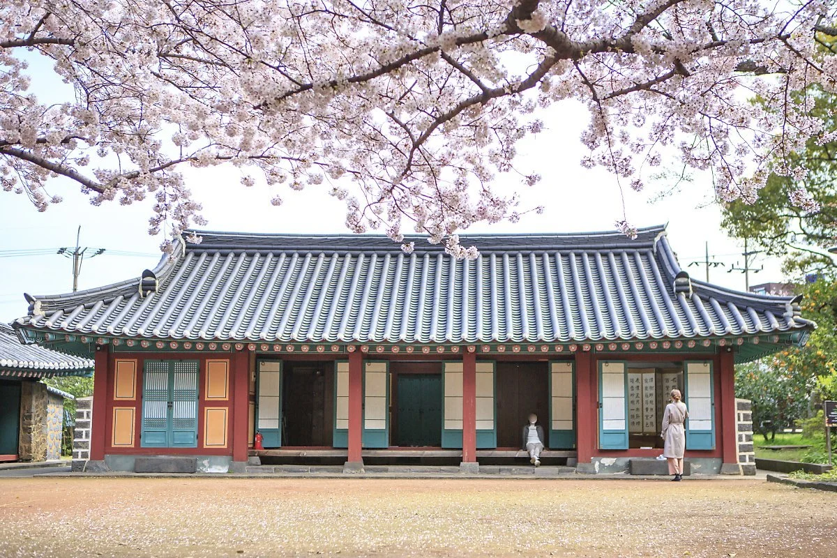 %EC%A0%9C%EC%A3%BC_%EC%82%BC%EC%84%B1%ED%98%88.jpg?type=w1200