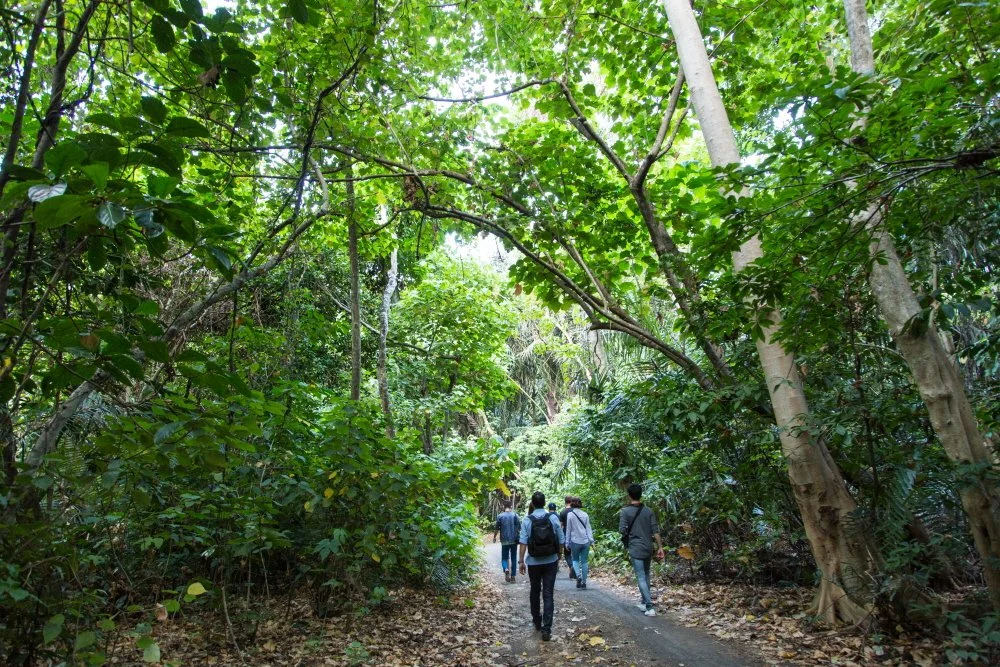 %EA%B5%AD%EB%A6%BD%EA%B3%B5%EC%9B%90%EA%B3%BC_%EC%95%88%EA%B2%BD%EC%9B%90%EC%88%AD%EC%9D%B4_%282%29.jpg?type=w1200