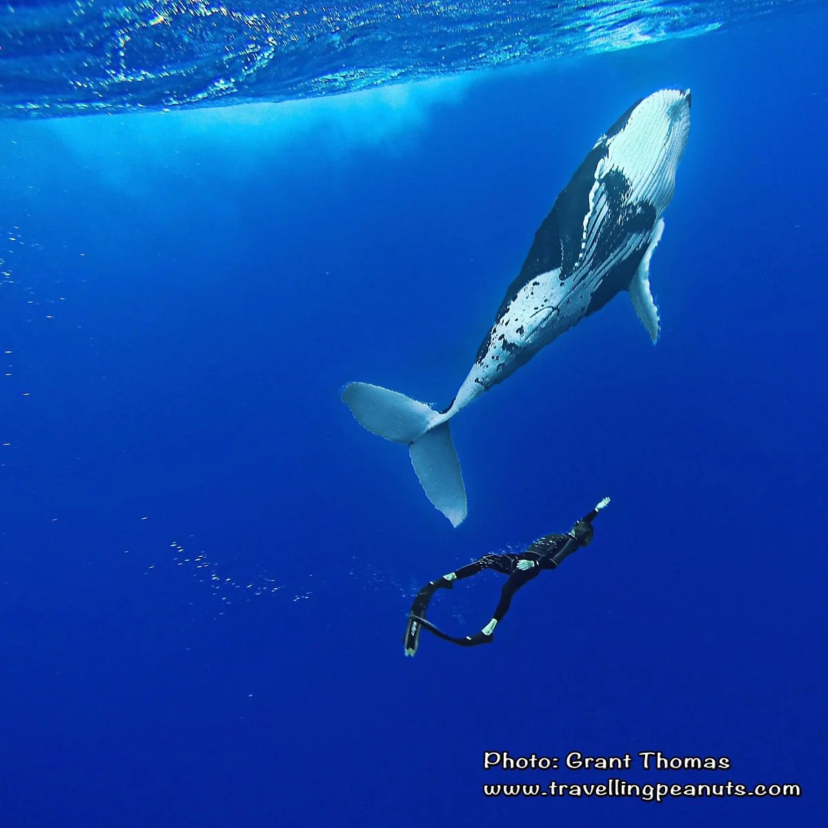 %EA%B3%A0%EB%9E%98_%287%29.jpg?type=w1200