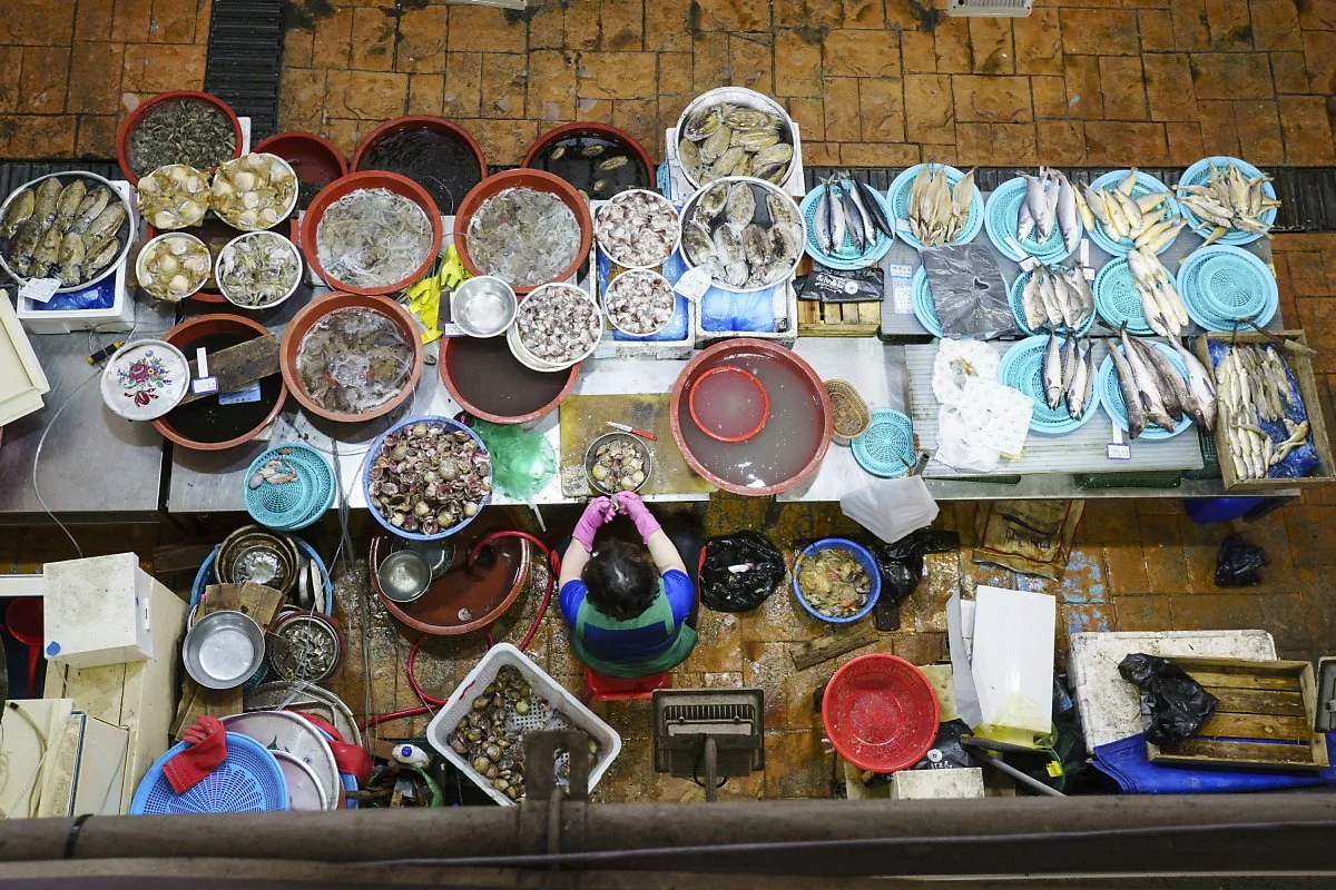 %EC%9E%A5%ED%9D%A5%EC%A0%95%EB%82%A8%EC%A7%84%ED%86%A0%EC%9A%94%EC%8B%9C%EC%9E%A5_%EA%B9%80%EB%8F%84%ED%98%95_%282%29.JPG?type=w1200