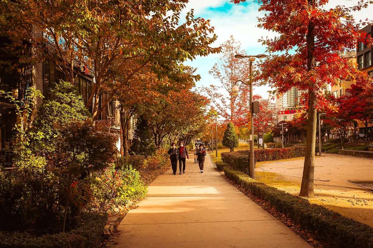 %ED%81%AC%EA%B8%B0%EB%B3%80%ED%99%98%EC%B1%85%EA%B1%B0%EB%A6%AC%EC%97%AD_%281%29.jpg?type=w1200