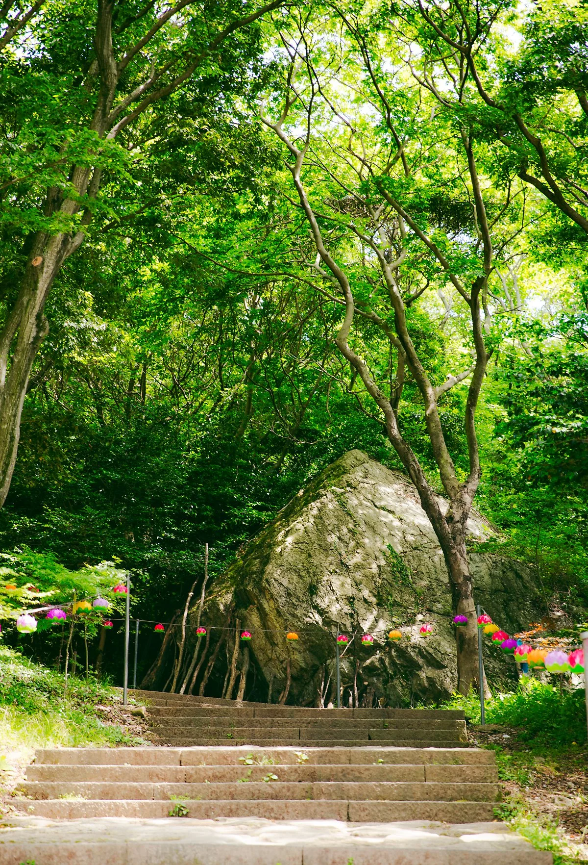 %EB%AF%B8%ED%99%A9%EC%82%AC%282%29.jpg?type=w1200