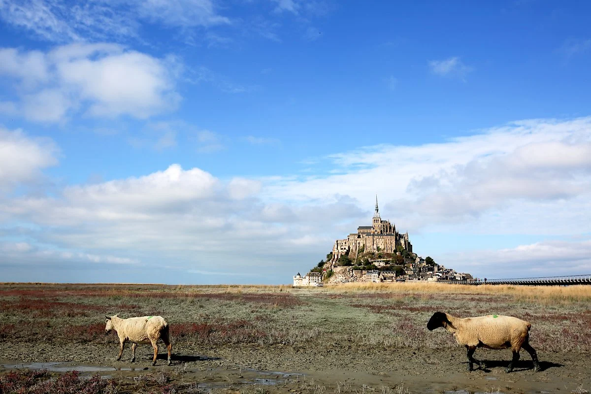 %EB%B0%94%EB%8B%B7%EB%AC%BC%EC%9D%B4_%EB%B9%A0%EC%A7%84_%EC%B4%88%EC%9B%90%EC%97%94_%EC%96%91%EC%9D%B4_%EC%9E%90%EC%9C%A0%EB%A1%AD%EA%B2%8C_%ED%92%80%EC%9D%84_%EB%9C%AF%EB%8A%94%EB%8B%A4._%EC%8A%AC%ED%94%84%EA%B2%8C%EB%8F%84%2C_%EC%9D%B4_%EC%96%91.jpg?type=w1200