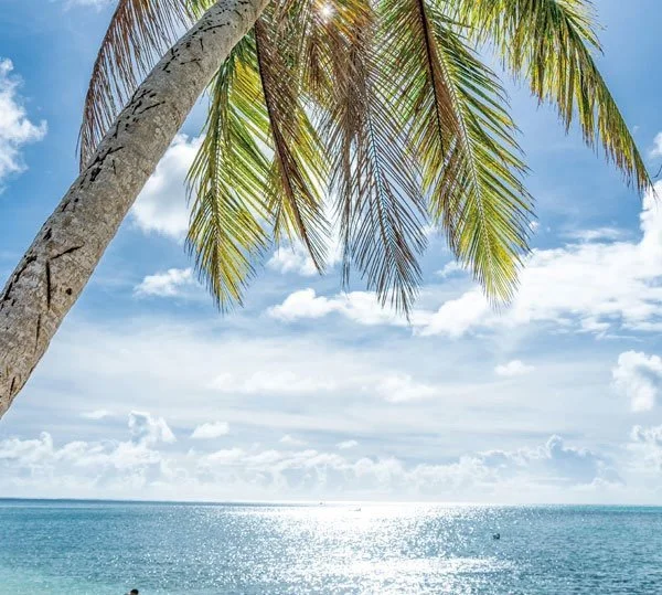 202102_Travie_084_%EB%A6%AC%ED%8F%AC%ED%8A%B83_%ED%8E%98%EC%9D%B4%EC%A7%80_1_%EC%9D%B4%EB%AF%B8%EC%A7%80_0002.jpg?type=w1200