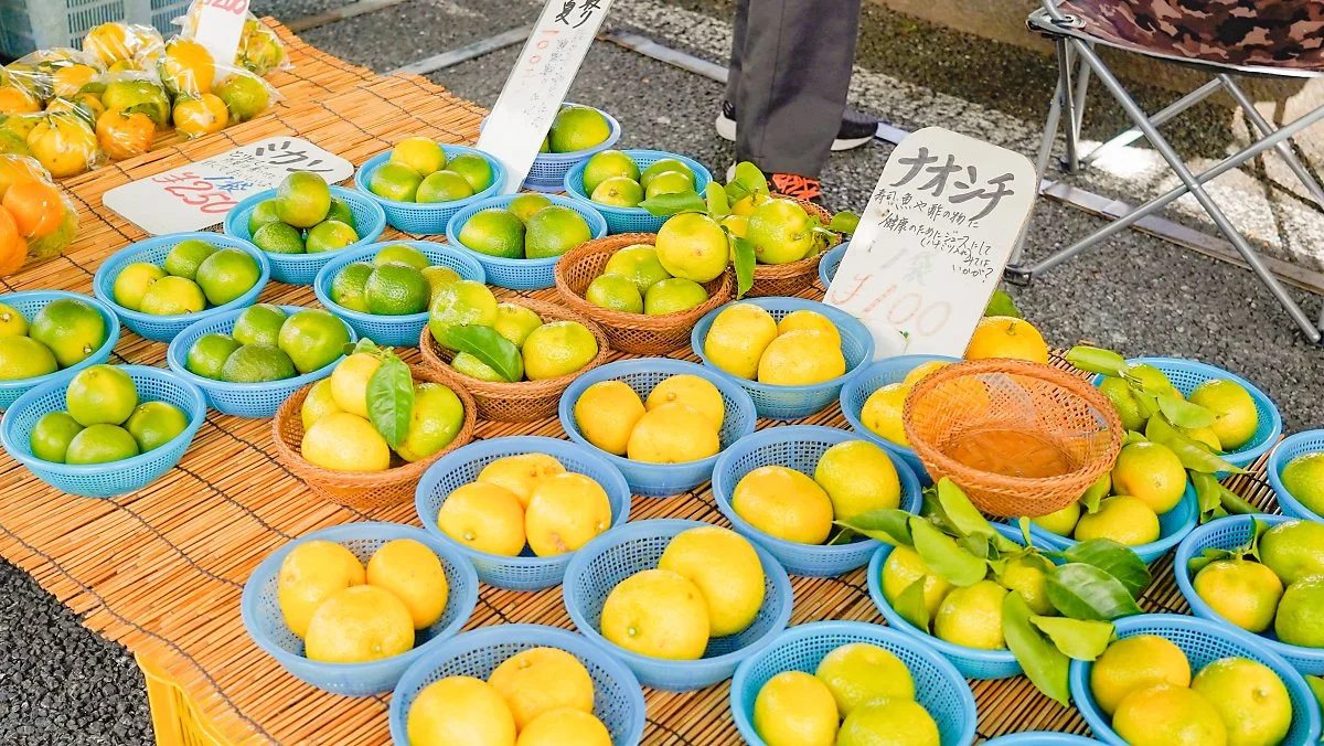 _DSC3394-221.JPG?type=w1200