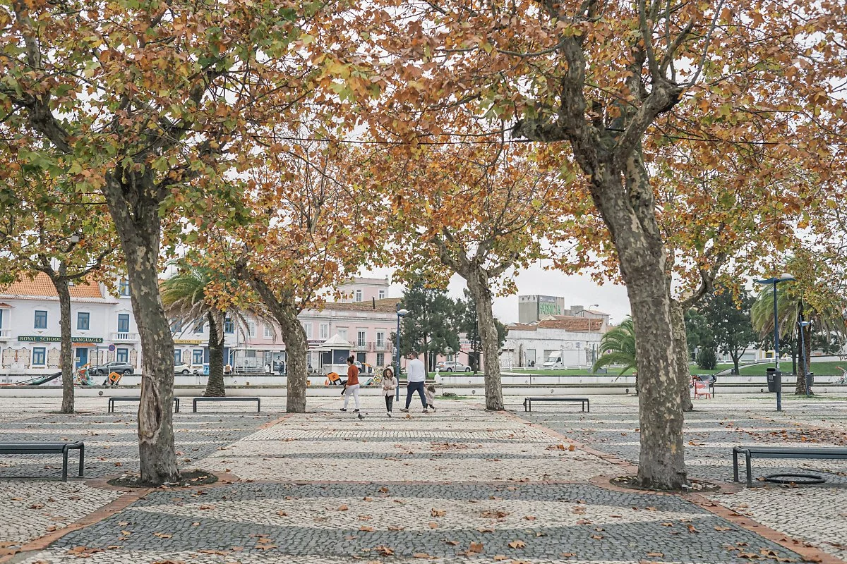 _DSF7635.jpg?type=w1200