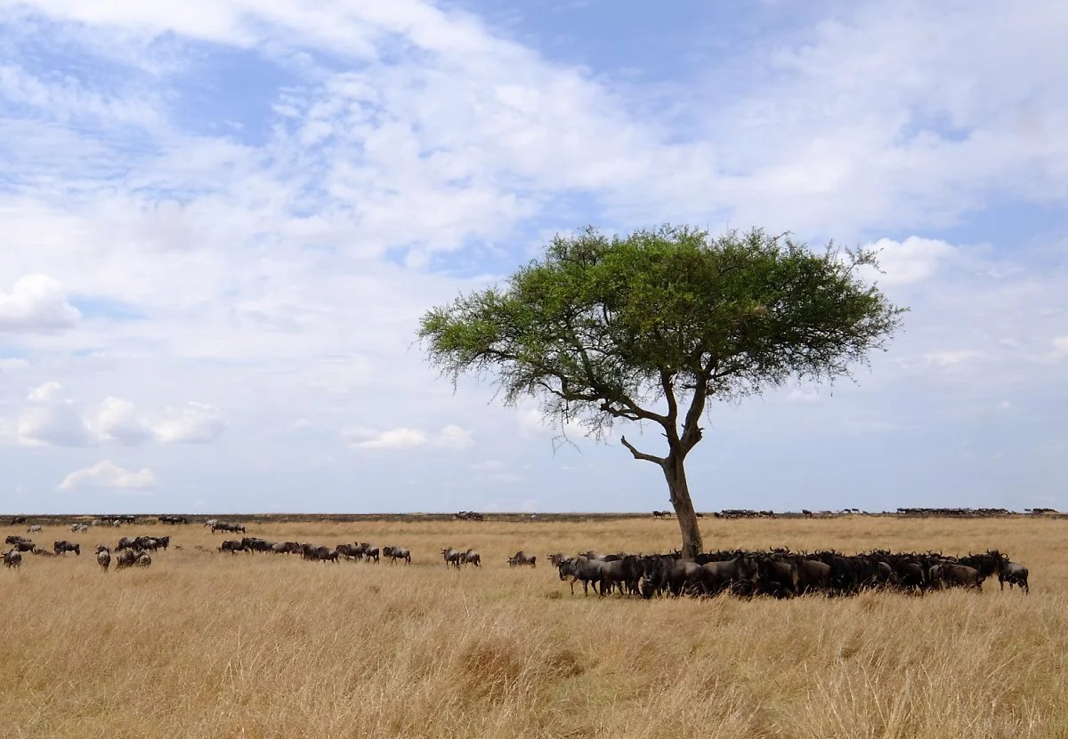 image_7589057261650609101068.jpg?type=w1200