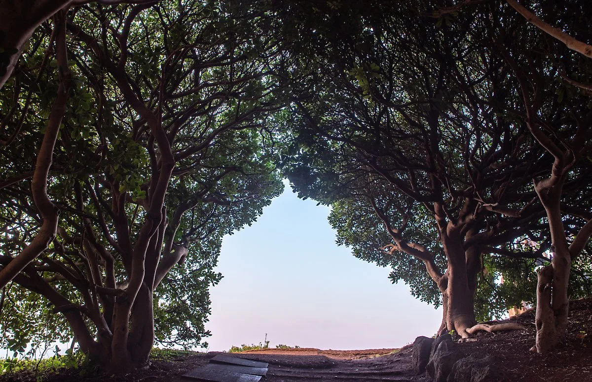 %EC%8A%A4%ED%8F%BF_001.jpg?type=w1200