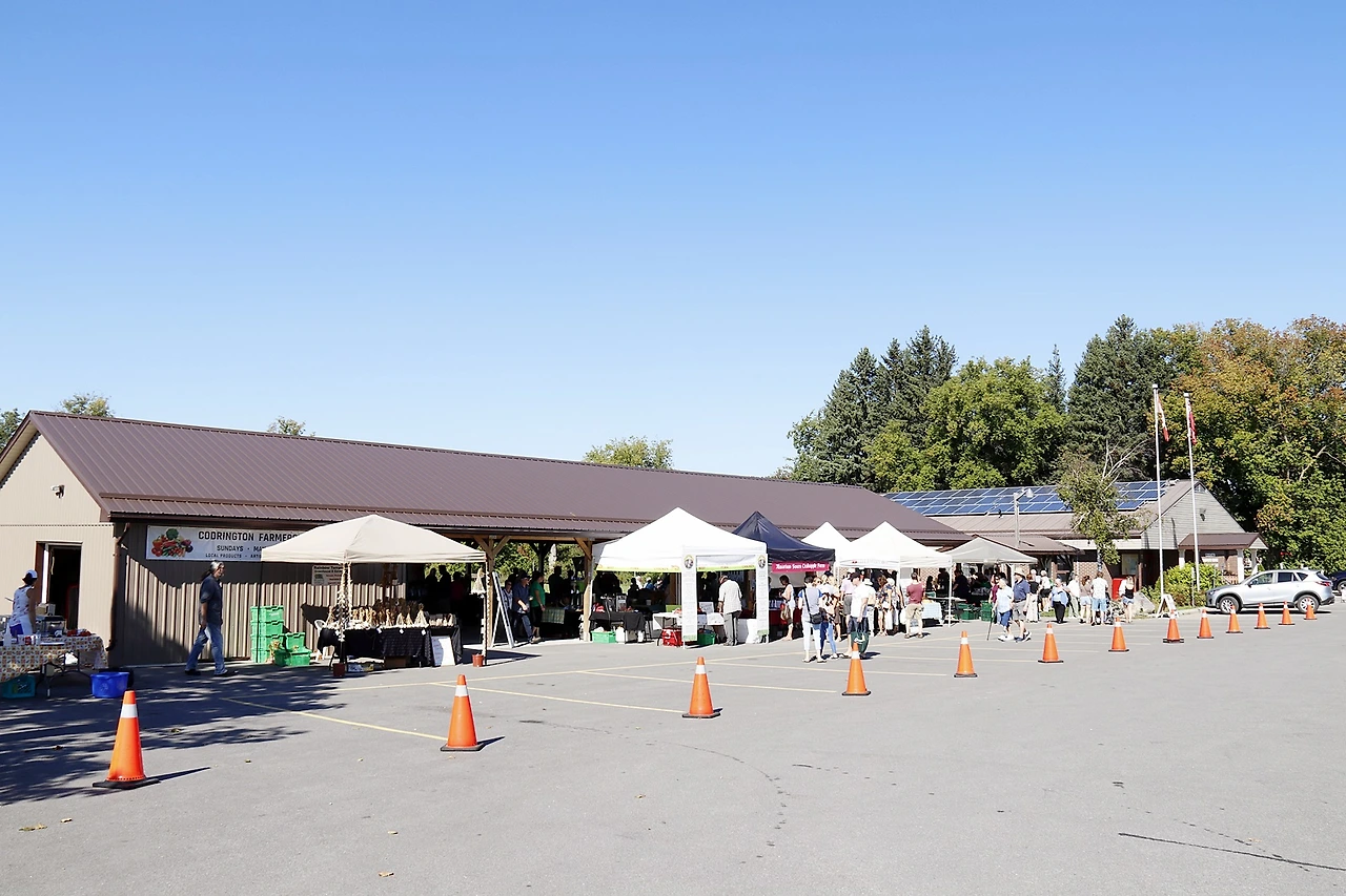 1.Codrington Farmer's Market-1.JPG