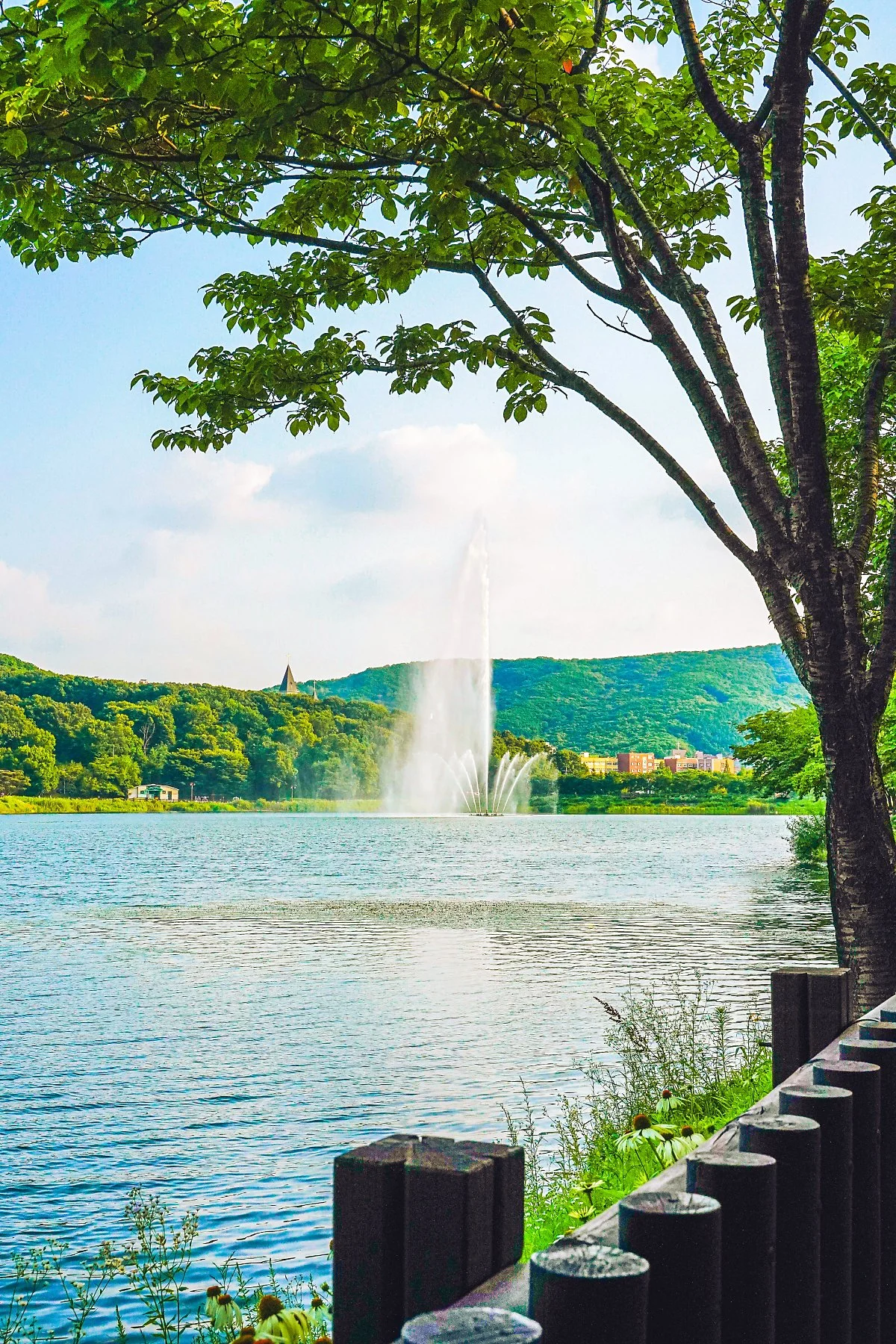 %EC%9C%A8%EB%8F%99%EA%B3%B5%EC%9B%90_%EB%B6%84%EC%88%98%EB%8C%80_%283%29.jpg?type=w1200