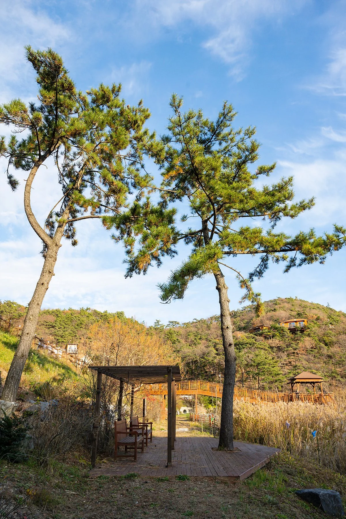 %EB%B3%80%EC%82%B0%EC%9E%90%EC%97%B0%ED%9C%B4%EC%96%91%EB%A6%BC_%EC%86%8C%EB%82%98%EB%AC%B4_%EC%86%8C%EC%9B%90%EC%89%BC%ED%84%B0.jpg?type=w1200