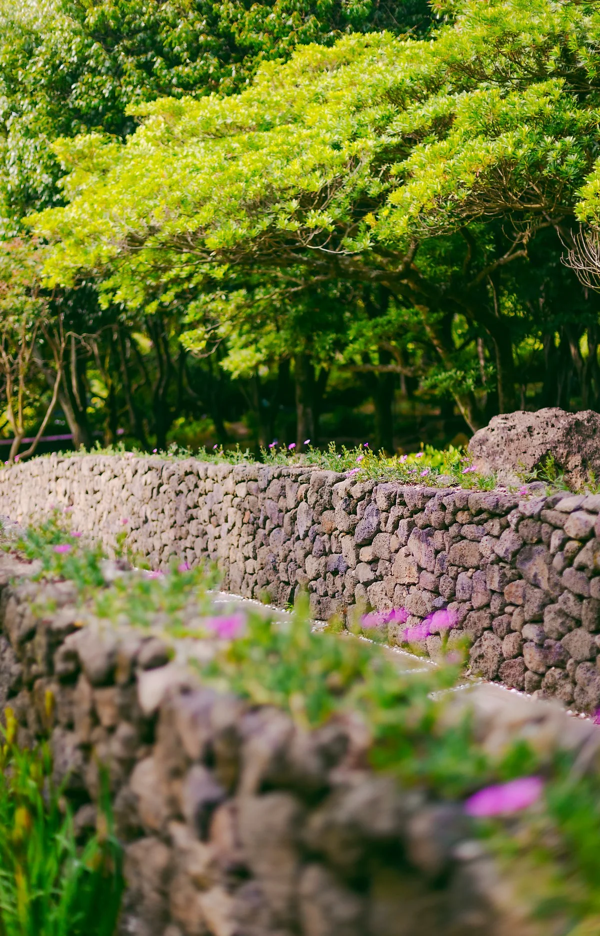 d_%ED%95%9C%EB%9D%BC%EC%88%98%EB%AA%A9%EC%9B%90_1.jpg?type=w1200