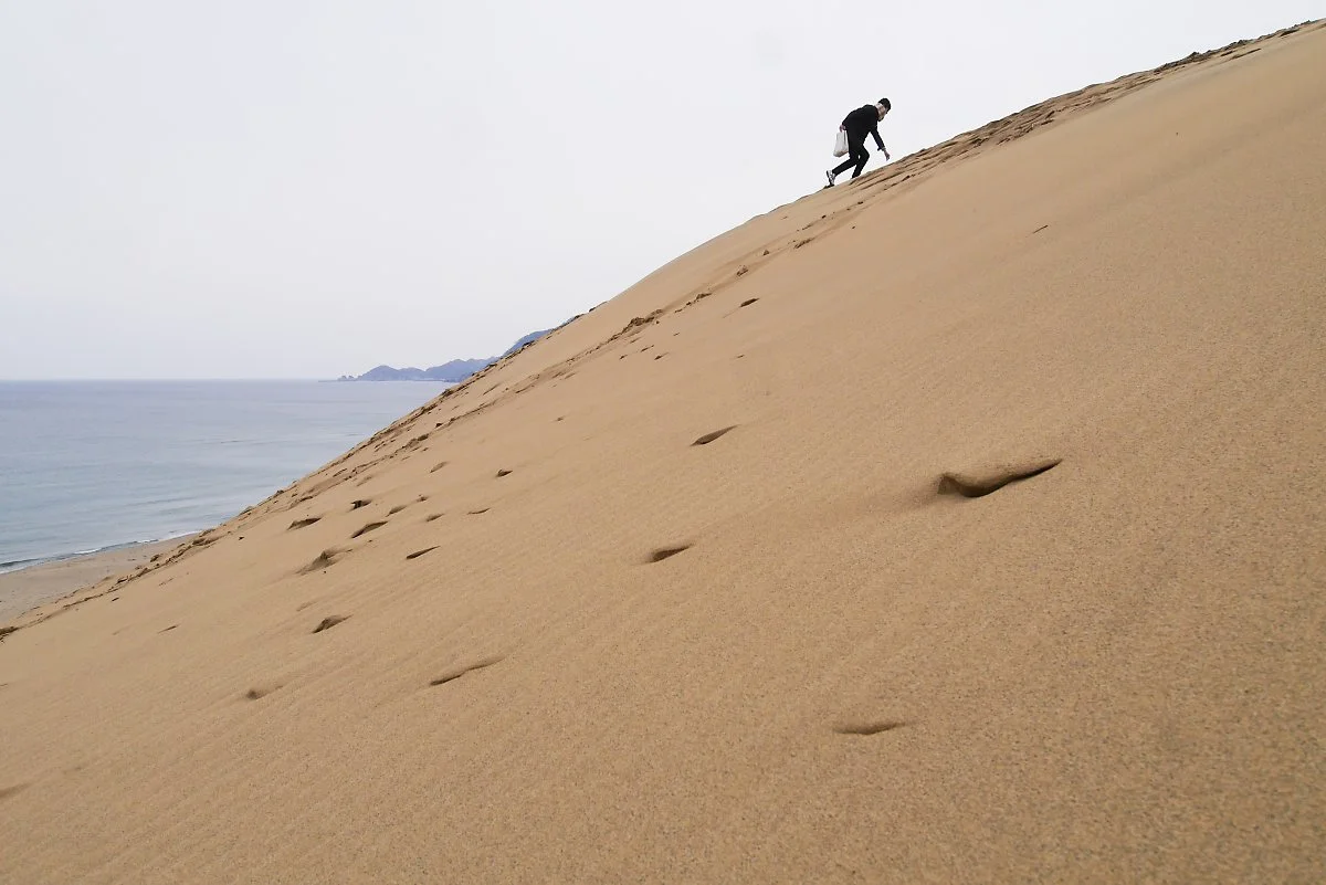 %EB%8F%97%ED%86%A0%EB%A6%AC_%EC%82%AC%EA%B5%AC_%285%29.jpg?type=w1200