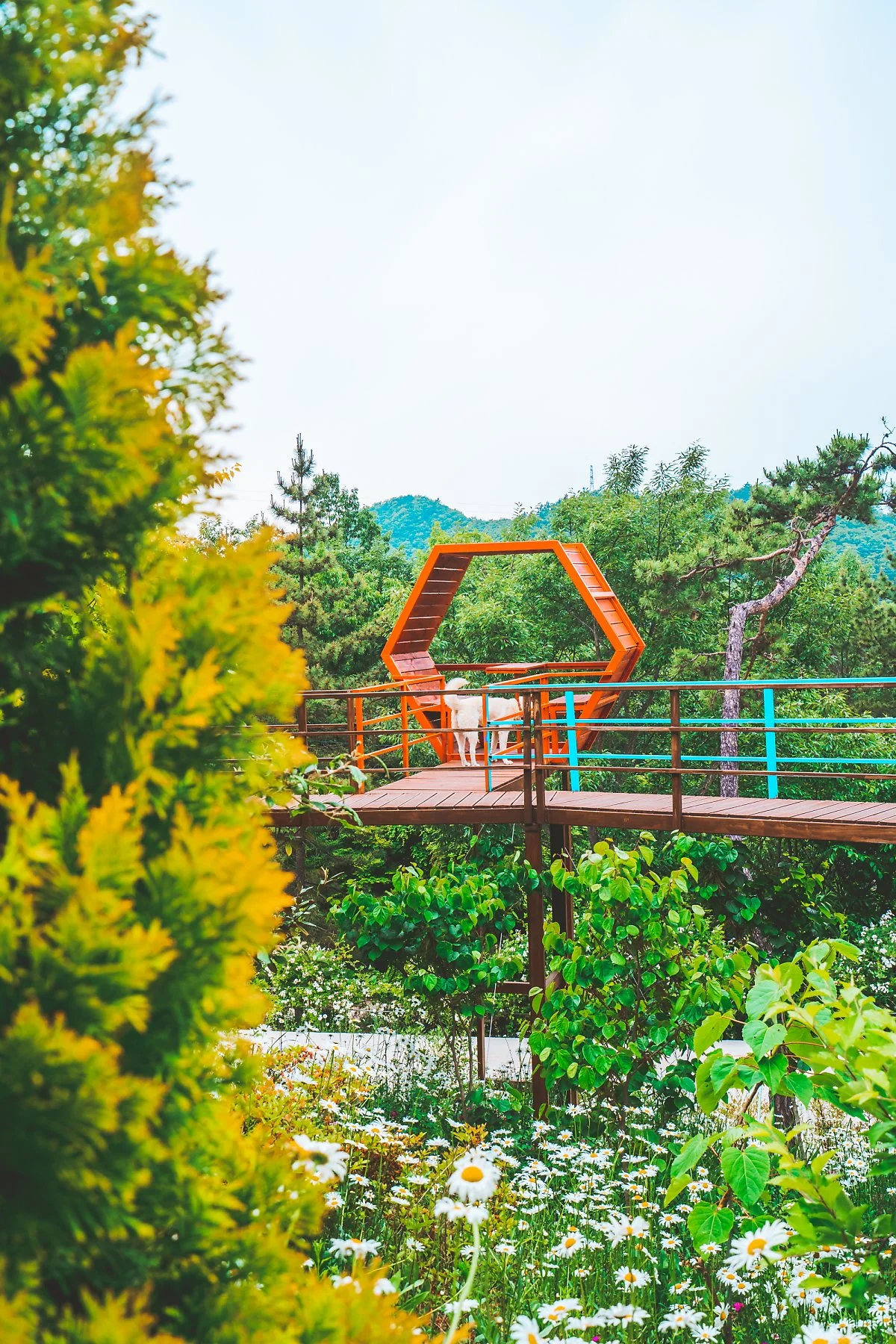 %ED%8F%AC%EB%A0%88%EC%8A%A4%ED%8A%B8_%EC%88%98%EB%AA%A9%EC%9B%90_%2813%29.jpg?type=w1200