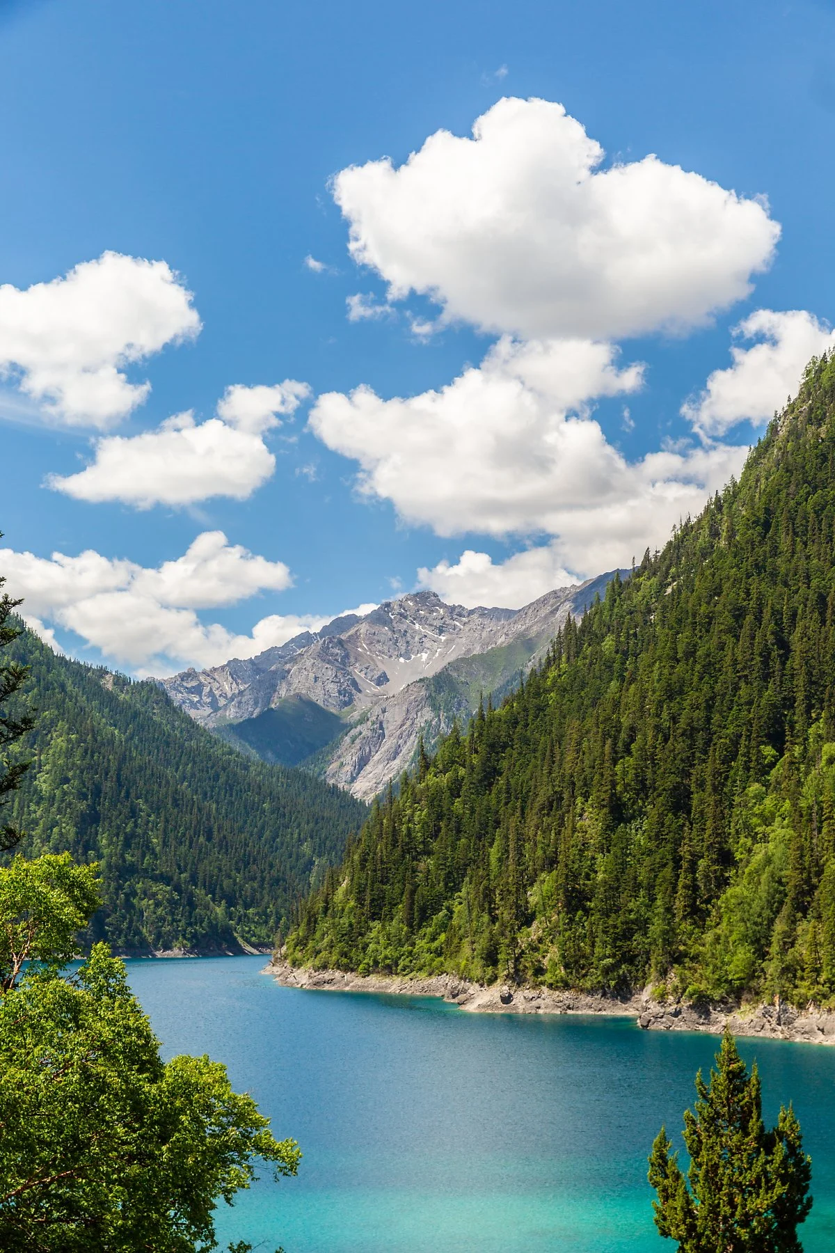 %EA%B5%AC%EC%B1%84%EA%B5%AC_%EC%9E%A5%ED%95%B4_%286%29.jpg?type=w1200