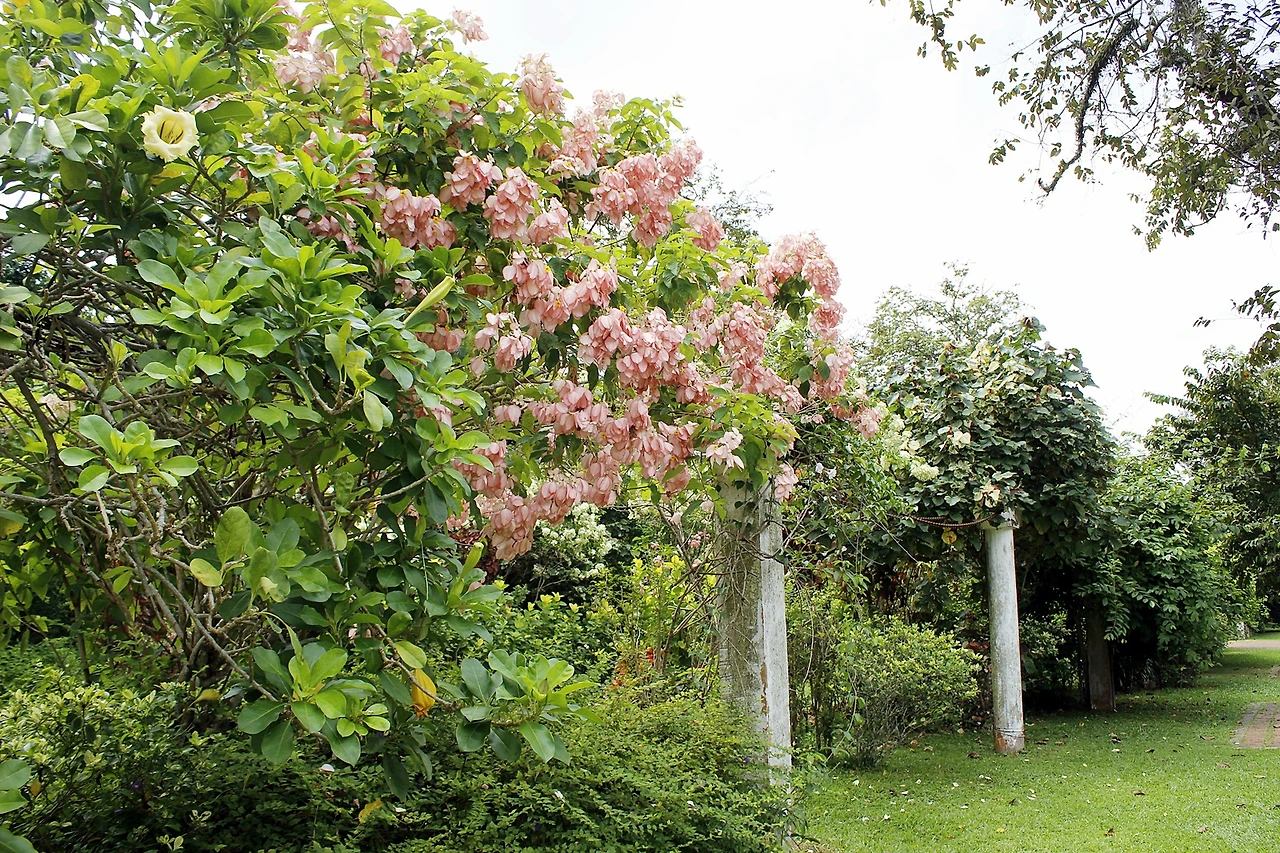 보타닉가든 (3).JPG