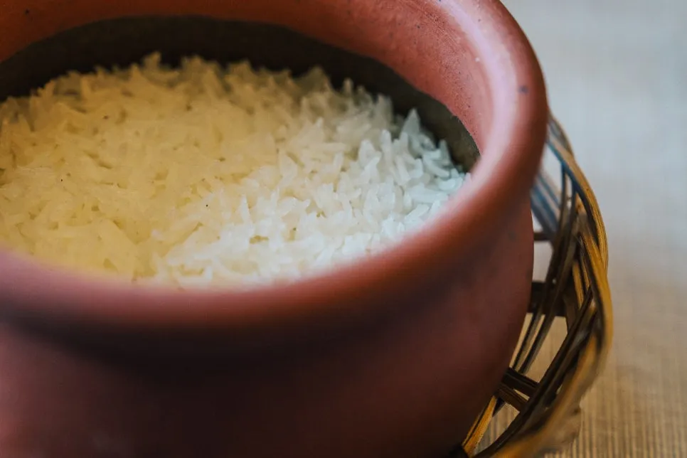 20251202-DSC01210.jpg?type=w966