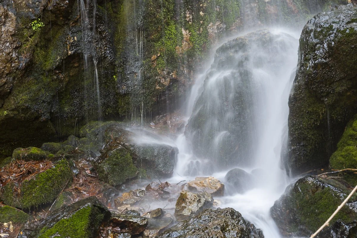 %EB%B0%B1%EC%9A%B4%EC%82%B0%ED%8E%B8%EB%B0%B1%EC%88%B2_%2810%29.jpg?type=w1200