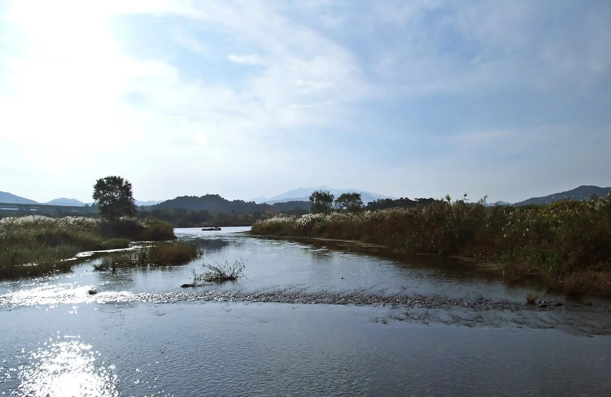 %EB%AA%A9%EA%B3%84%EB%82%98%EB%A3%A8%ED%84%B0_%EB%B6%80%EA%B7%BC_%ED%92%8D%EA%B2%BD._%EB%82%A8%ED%95%9C%EA%B0%95%EC%9C%BC%EB%A1%9C_%ED%9D%98%EB%9F%AC%EB%93%9C%EB%8A%94_%EC%98%81%EB%8D%95%EC%B2%9C.JPG?type=w1200